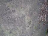 image of grave number 365992